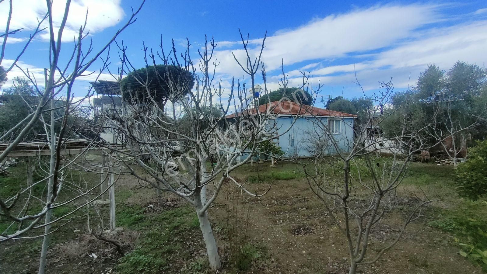 İzmir Bayındır'da 766 M2 Arsa İçinde 2+1tek Katlı Müstakil Ev - Görsel 10