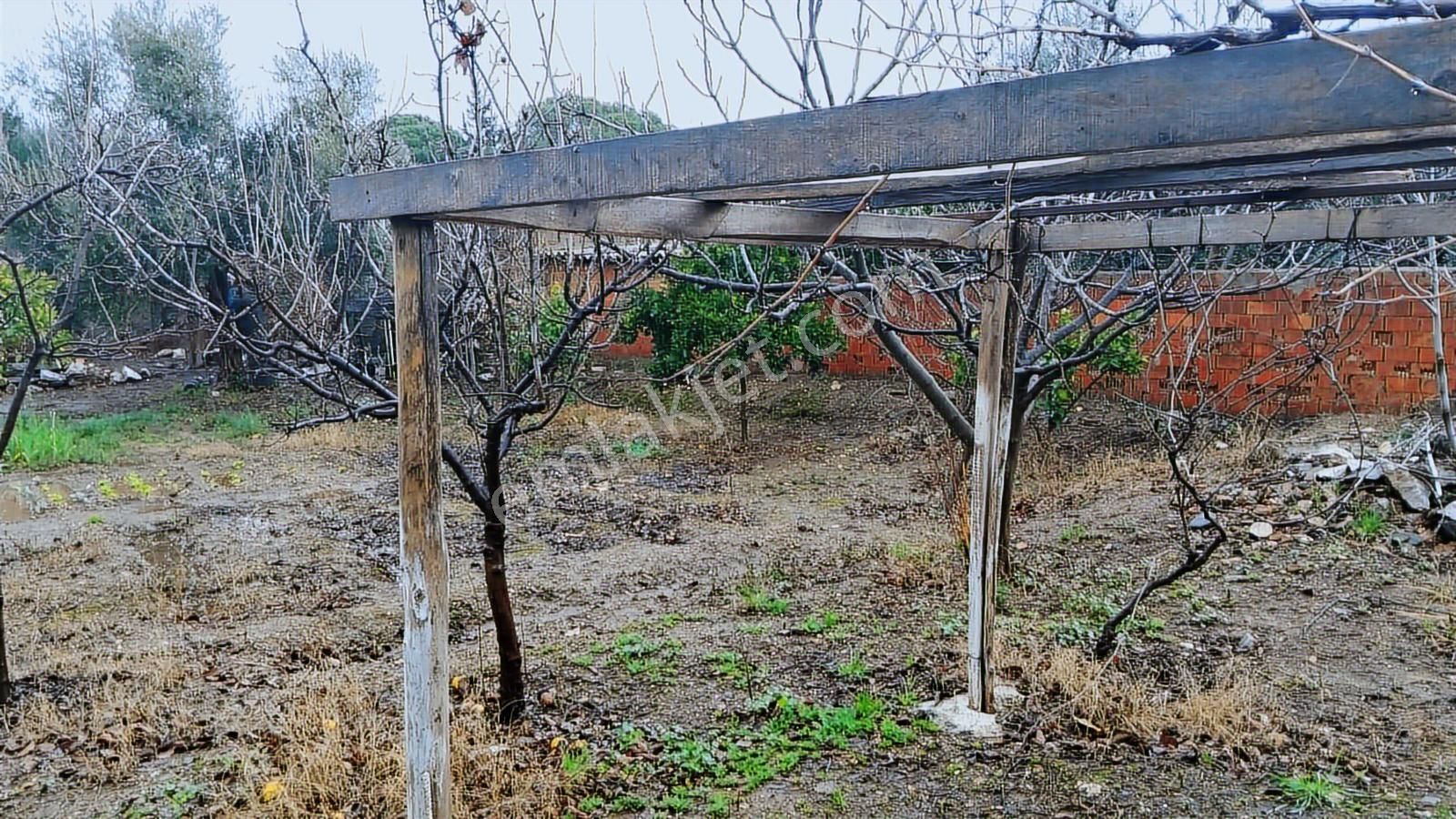 İzmir Bayındır'da 766 M2 Arsa İçinde 2+1tek Katlı Müstakil Ev - Görsel 2