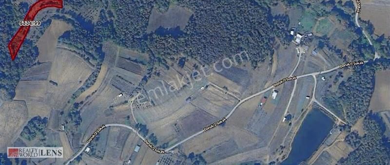 Sakarya Işıklarda Yerleşime Yakın 3.380 M2 Tarla - Görsel 2