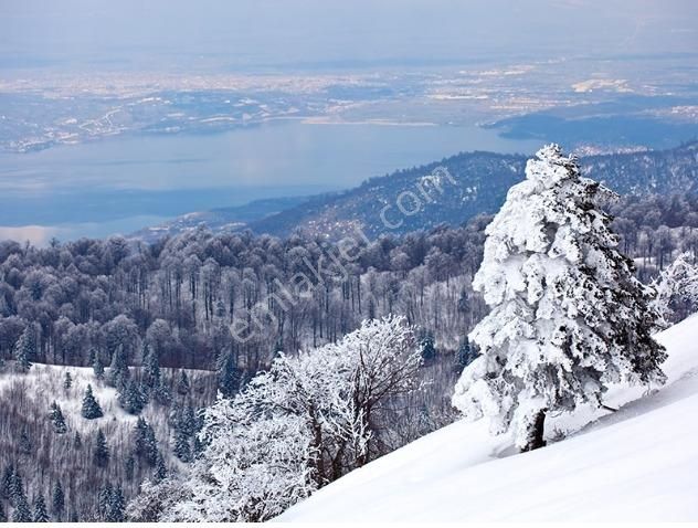 Home Gayrimenkul Den İzmit Baglıca Satılık 4723 M² Arsa - Görsel 12
