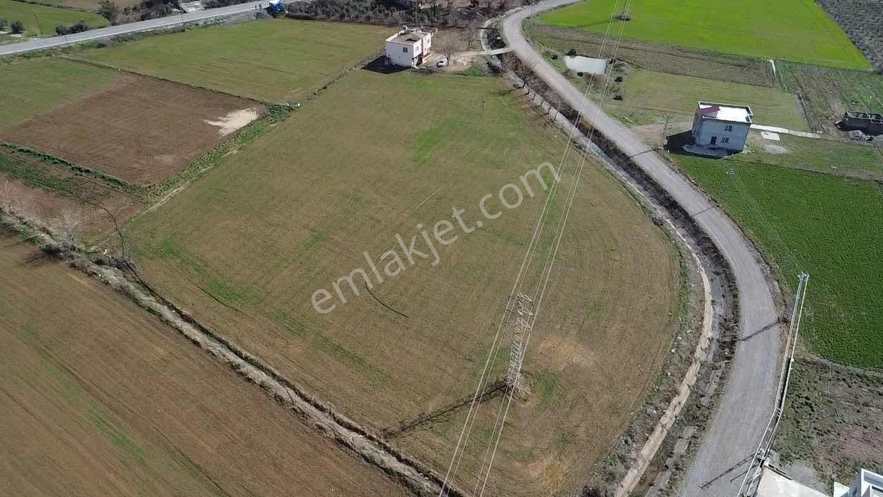 Bu Arsalar Kaçmaz!!!yenice Haruniye - Görsel 4