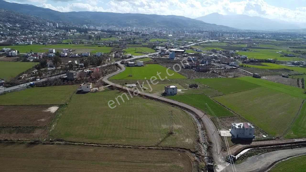 Bu Arsalar Kaçmaz!!!yenice Haruniye - Görsel 10