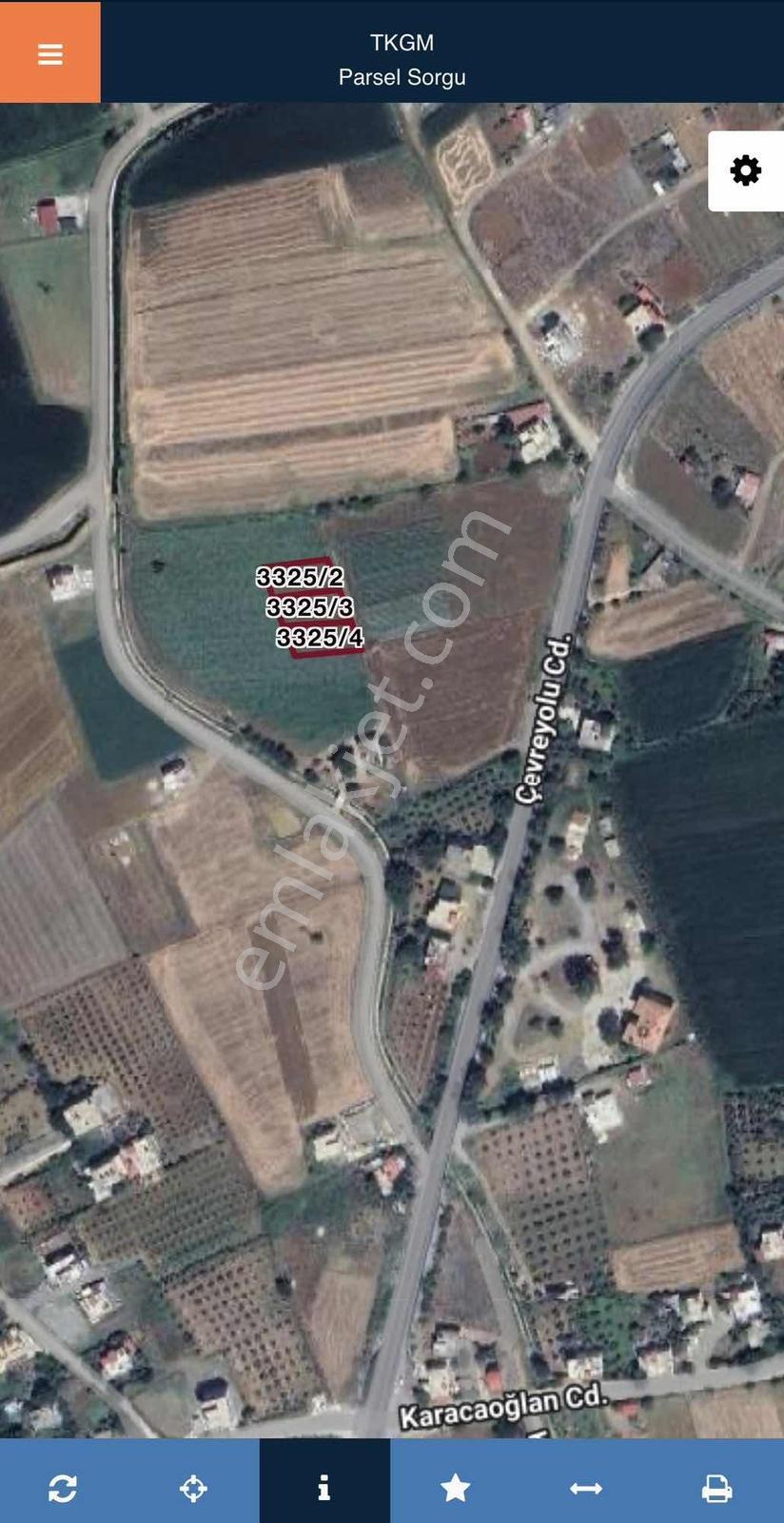 Bu Arsalar Kaçmaz!!!yenice Haruniye - Görsel 5