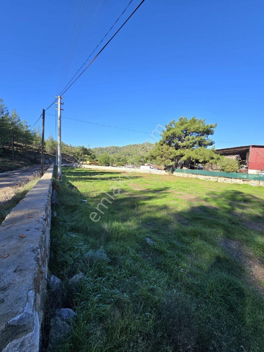 Hisarönü'nde Satılık Yatırım Fırsatı!2400m2 Arazi ️ - Görsel 7