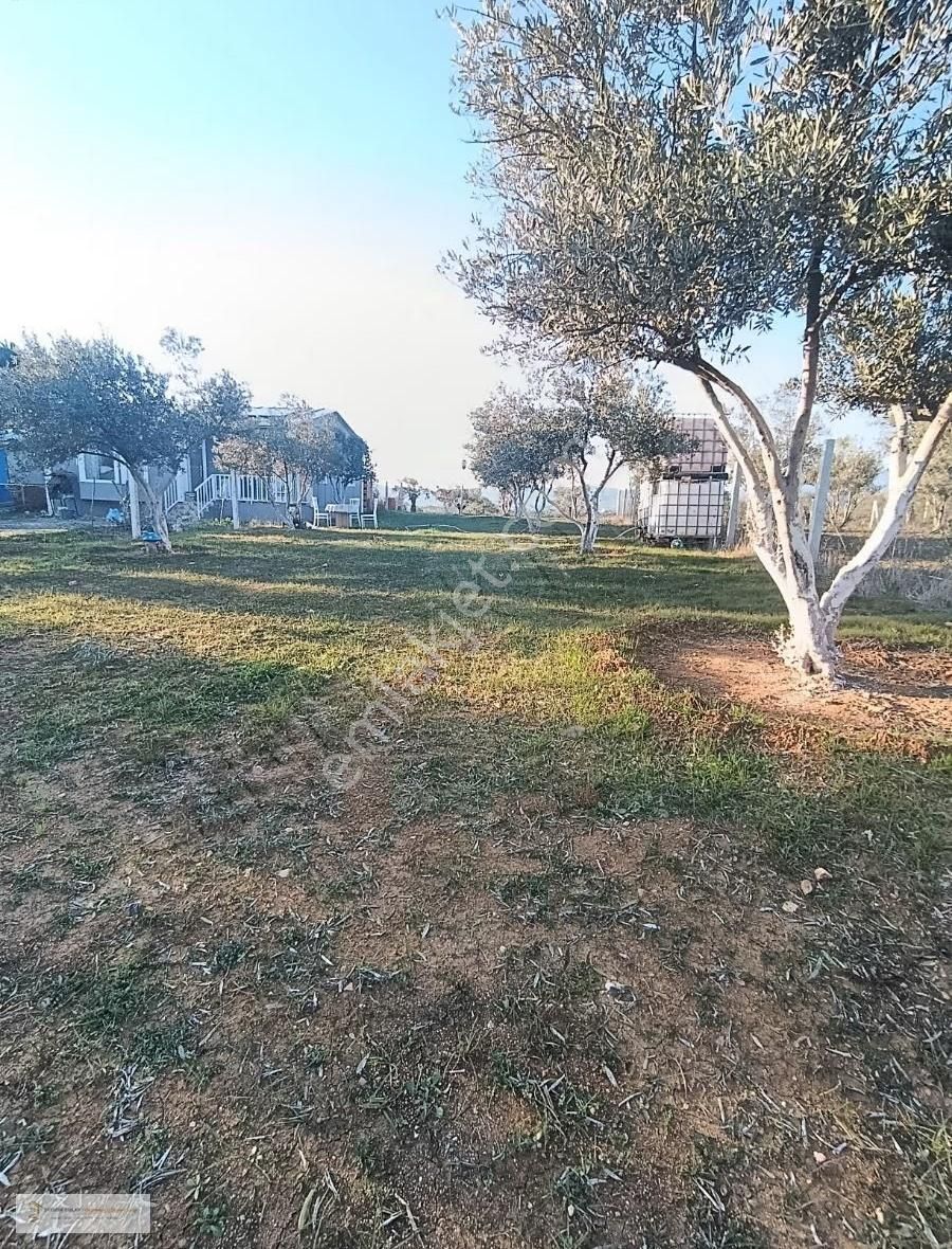 Yatırım Emlak'tan Satılık Hisse Tapulu Tarla. - Görsel 6