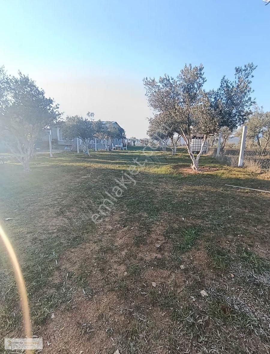 Yatırım Emlak'tan Satılık Hisse Tapulu Tarla. - Görsel 7