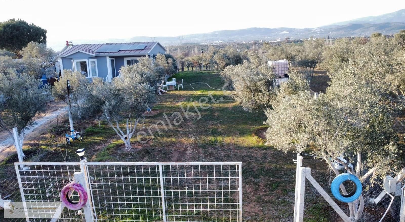 Yatırım Emlak'tan Satılık Hisse Tapulu Tarla. - Görsel 4