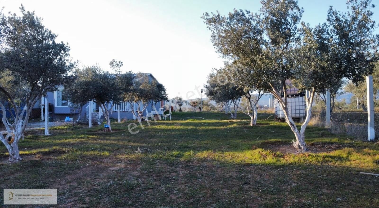 Yatırım Emlak'tan Satılık Hisse Tapulu Tarla. - Görsel 5