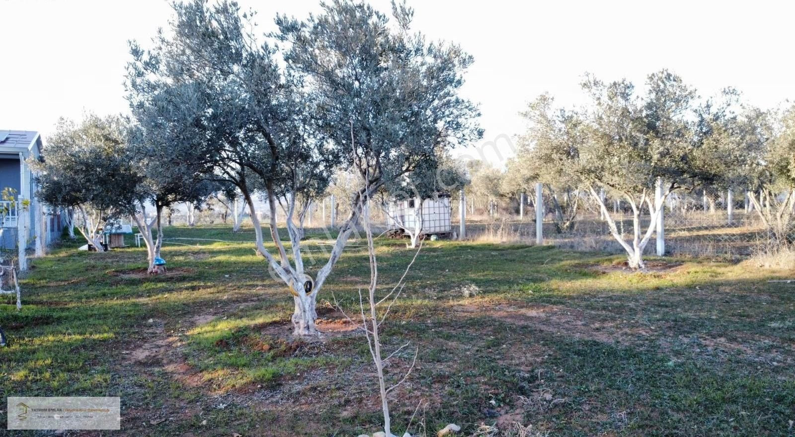 Yatırım Emlak'tan Satılık Hisse Tapulu Tarla. - Görsel 13