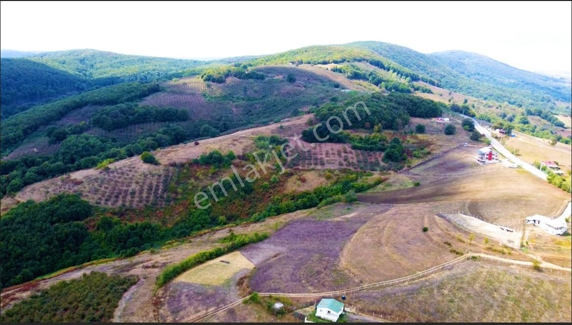 Home Gayrimenkul Den Kocaeli Kandıra Ahmethacılarda 9099m2 Tarla - Görsel 8