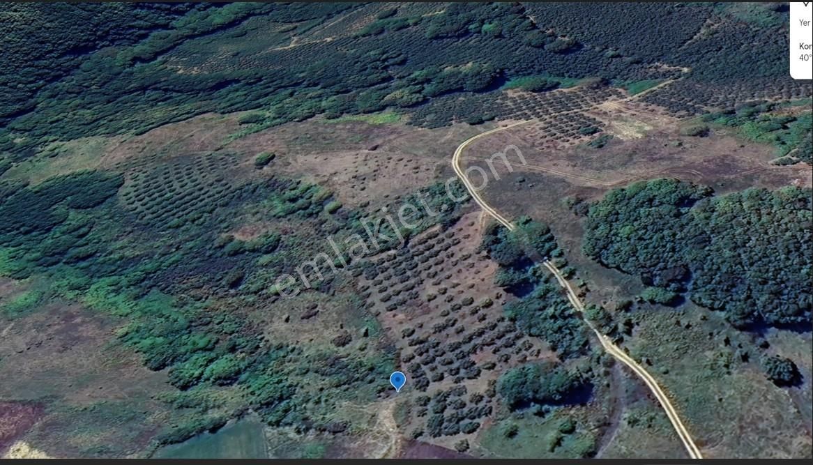 Home Gayrimenkul Den Kocaeli Kandıra Ahmethacılarda 9099m2 Tarla - Görsel 14