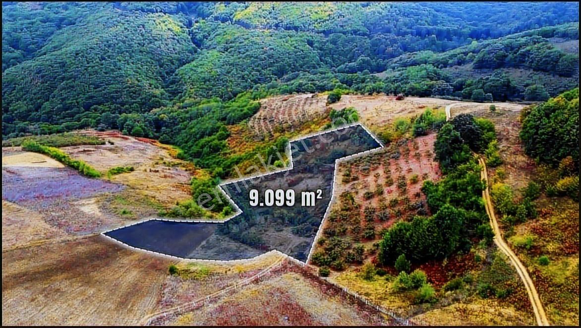 Home Gayrimenkul Den Kocaeli Kandıra Ahmethacılarda 9099m2 Tarla - Görsel 12