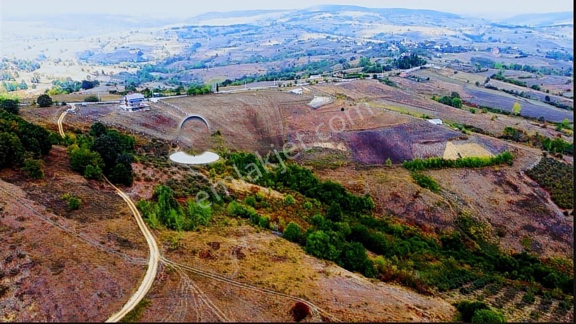 Home Gayrimenkul Den Kocaeli Kandıra Ahmethacılarda 9099m2 Tarla - Görsel 20