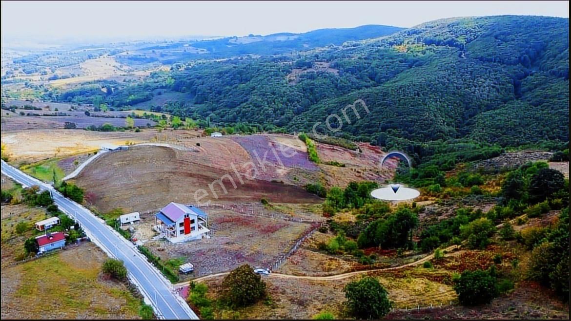 Home Gayrimenkul Den Kocaeli Kandıra Ahmethacılarda 9099m2 Tarla - Görsel 9