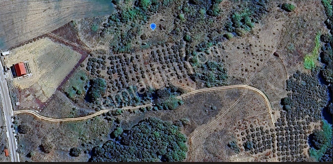 Home Gayrimenkul Den Kocaeli Kandıra Ahmethacılarda 9099m2 Tarla - Görsel 7