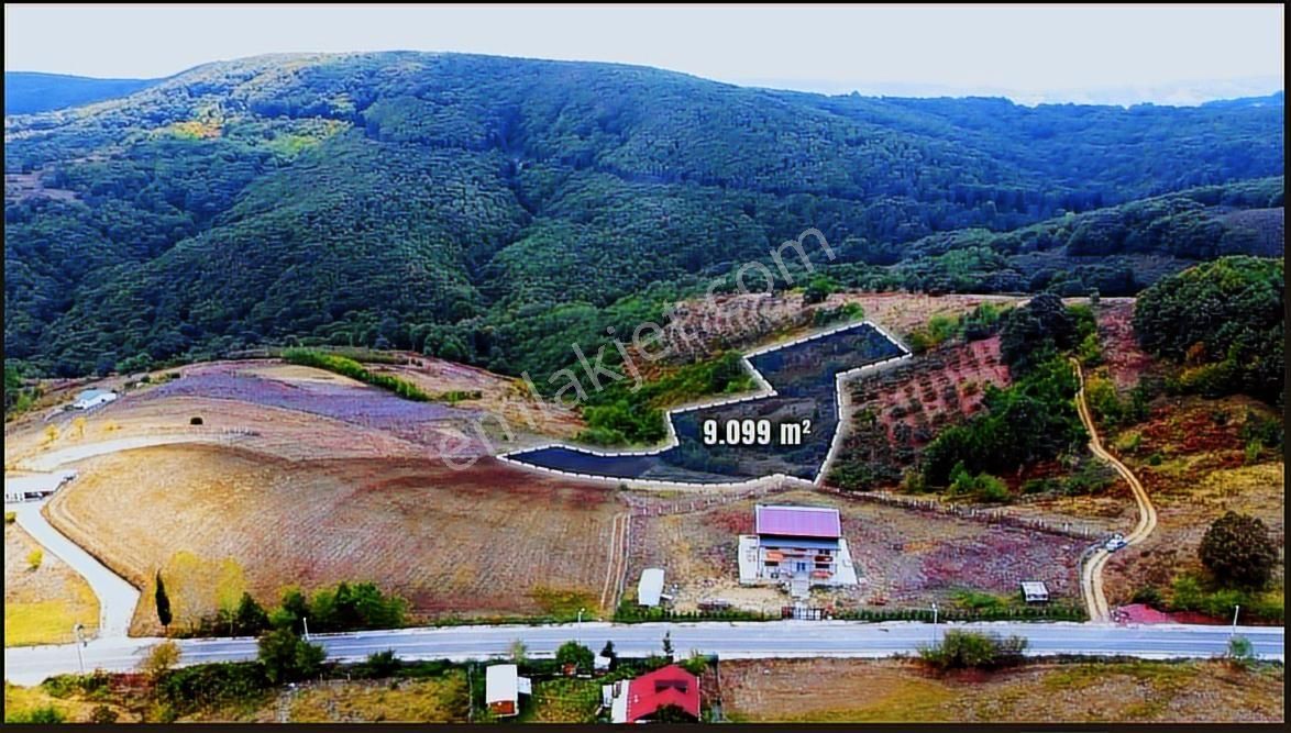 Home Gayrimenkul Den Kocaeli Kandıra Ahmethacılarda 9099m2 Tarla - Görsel 11