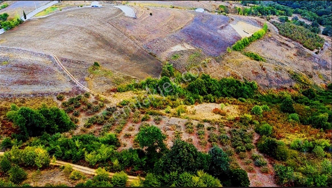 Home Gayrimenkul Den Kocaeli Kandıra Ahmethacılarda 9099m2 Tarla - Görsel 18