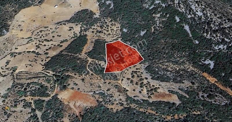 Gazipaşa Çörüş Mahallesi'nde Satılık Arazi