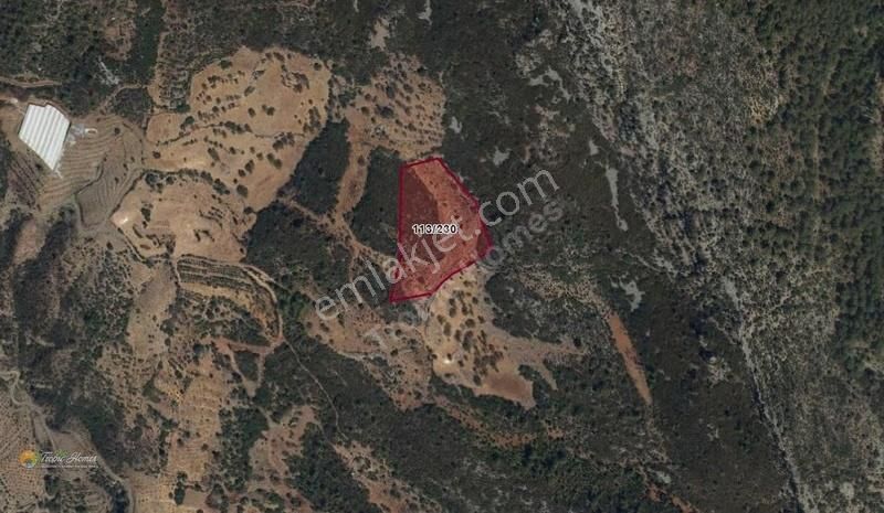 Gazipaşa Çörüş Mahallesi'nde Satılık Arazi - Görsel 2