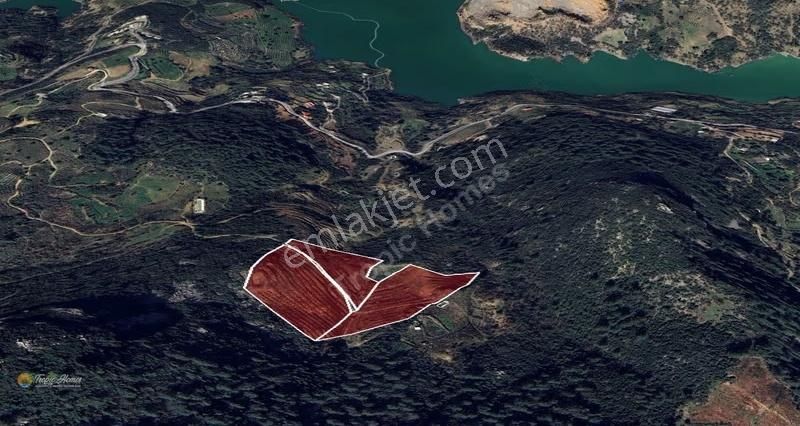 Gazipaşa Çakmak Mahallesi'nde Satılık Tarla - Görsel 3