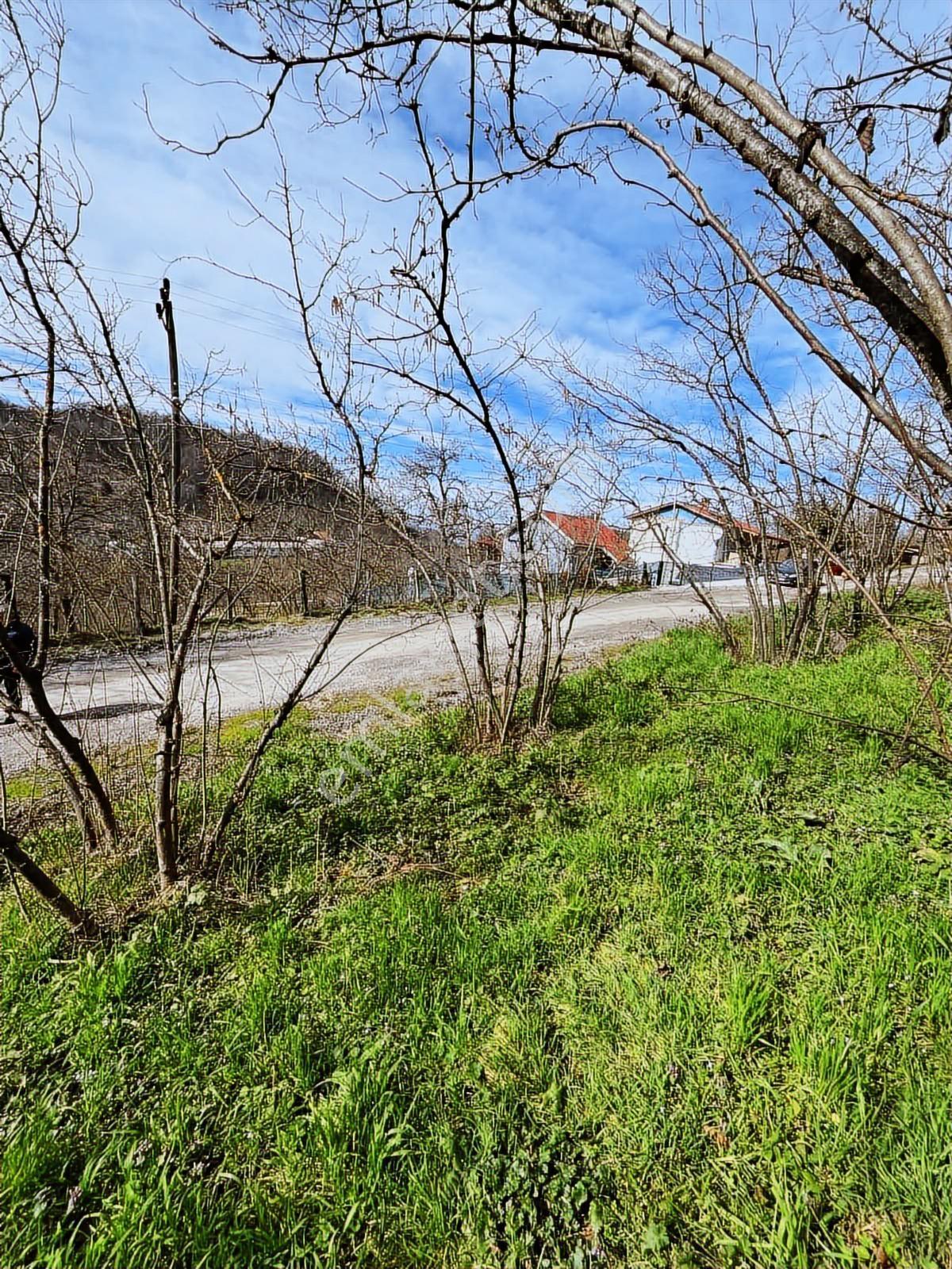Ruşen Aydın Gayrimenkul Kaynaşlı Eski Köyde Satılık Arsa - Görsel 17