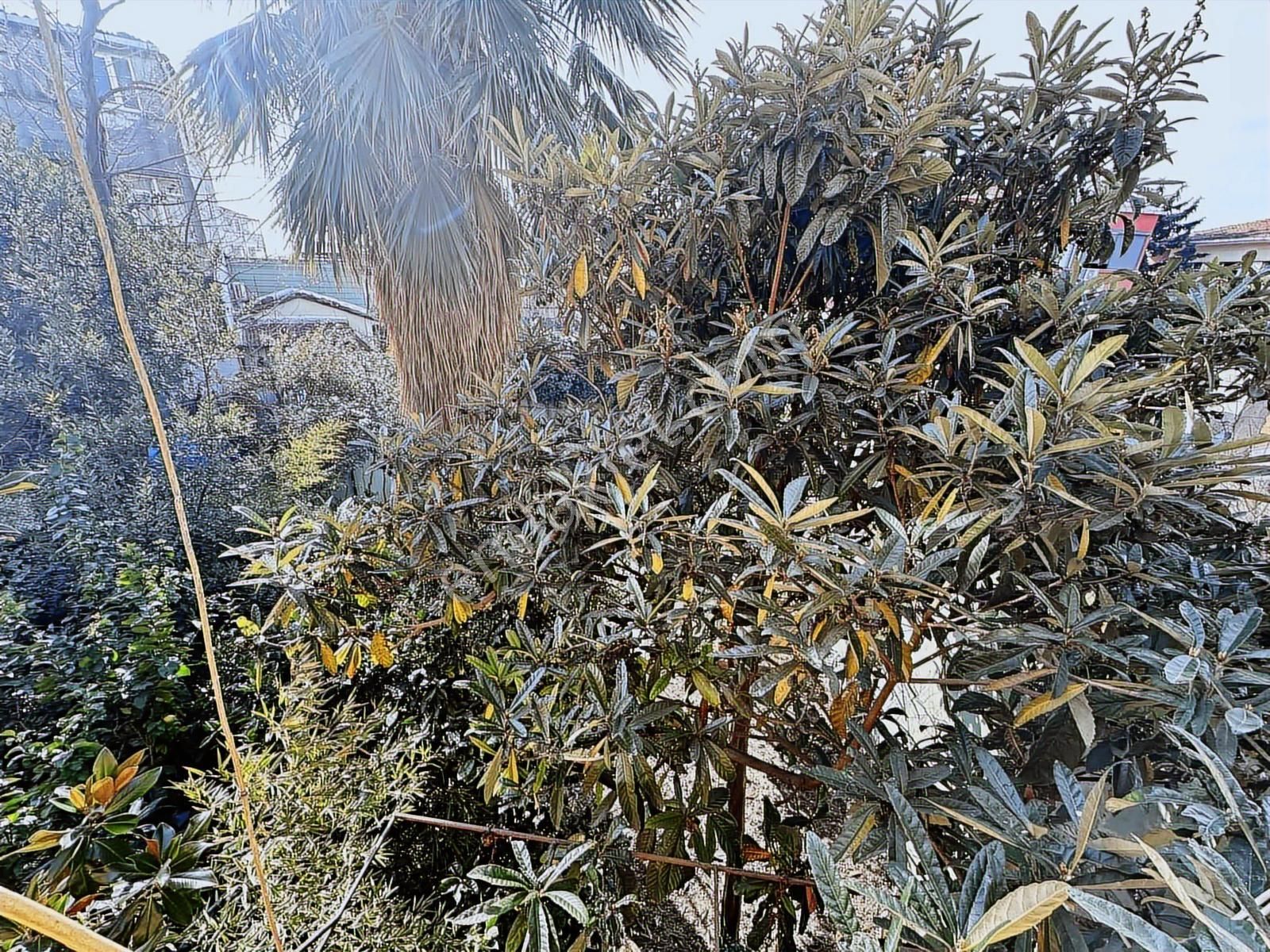 Kadırga 3katlı Müstakil Binada Bahçeli Dekorasyonlu Özelmülk - Görsel 8