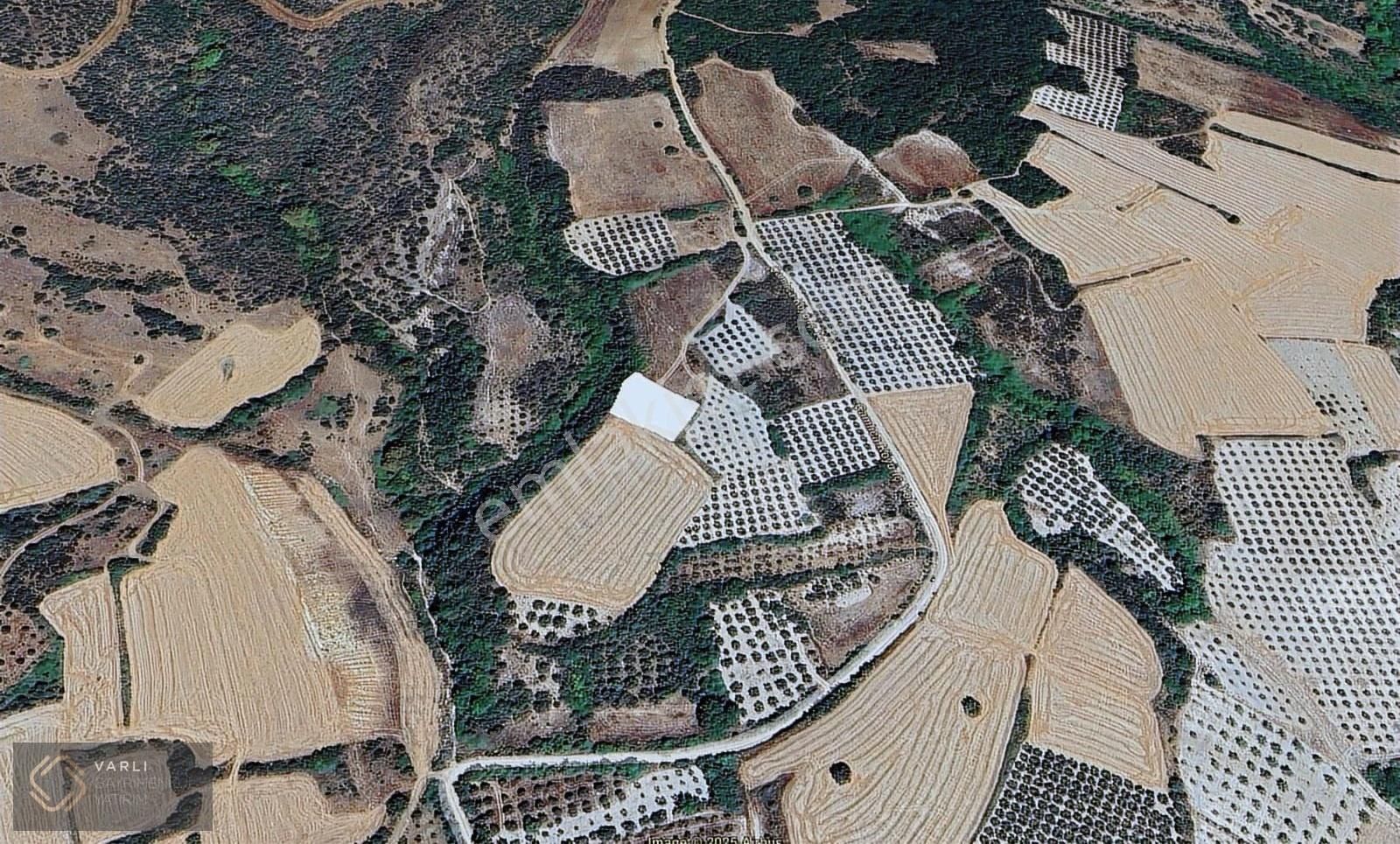 Karacabey/çamlıca Köyünde Yatırımlık Satılık Tarla - Görsel 5