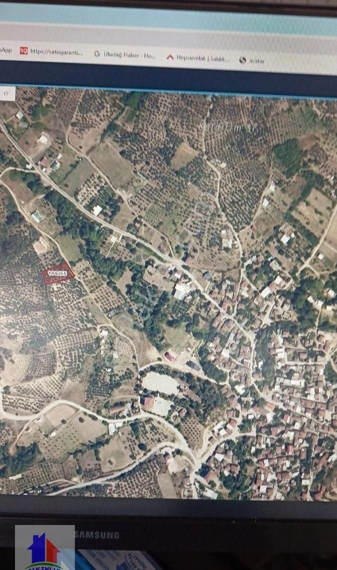 Mudanya Dereköy Mah.de Satılık Zeytinlik Arazi Ana Yola Yakın Kupon Yer Köye Çok Yakın 1460 M2 - Görsel 2
