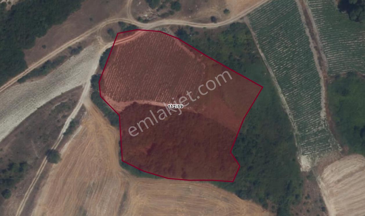 El/ya' Dan Bigadiç Çağış 6910 M2 Tarla - Görsel 4