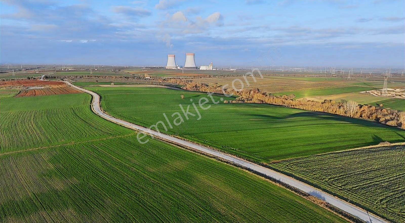 Ayvalı Köyünde 9500m Villa, Tiny House Projelerine Uygun - Görsel 8