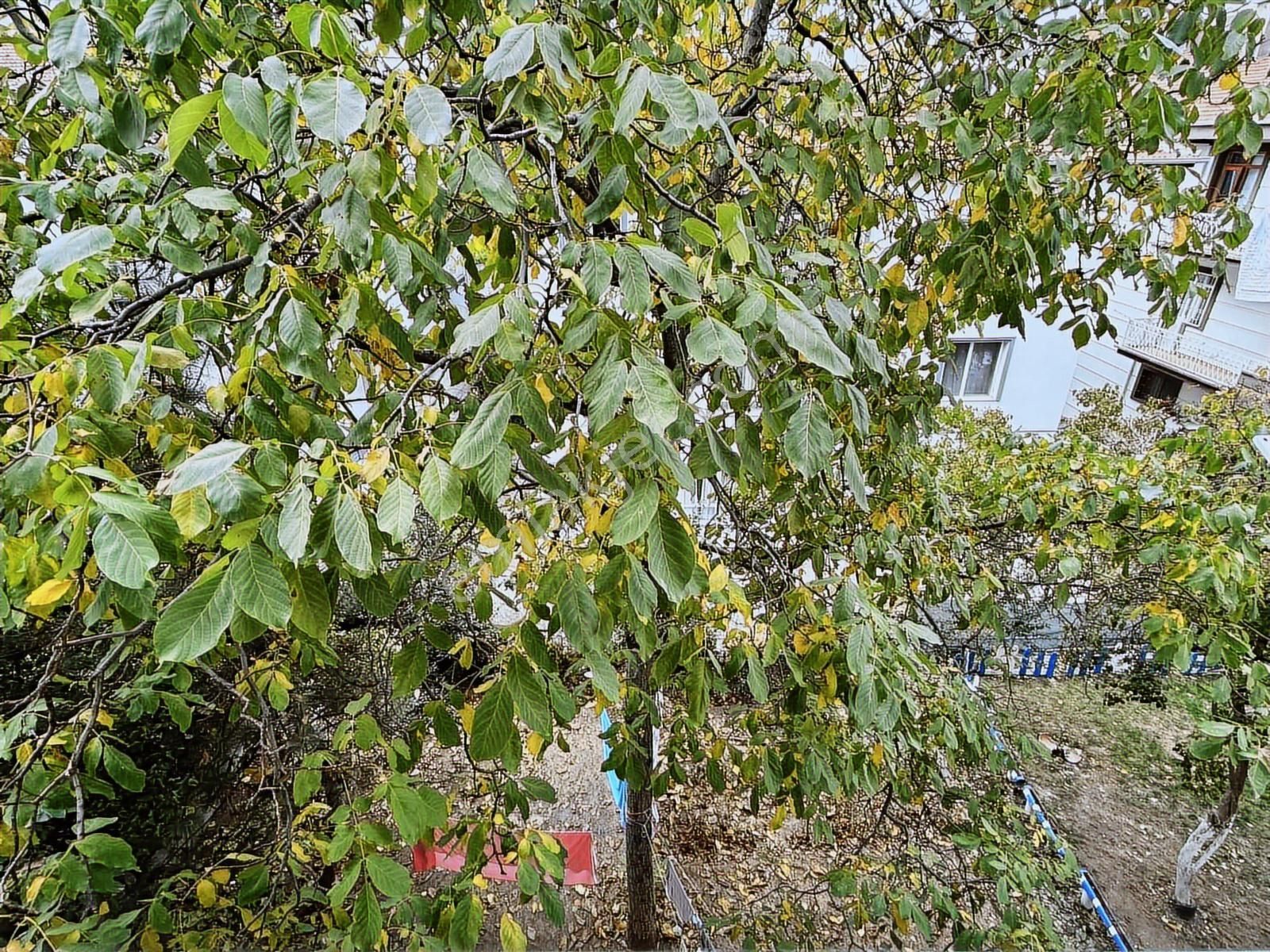 Ankalife'tan Dikmen'de Kiralık 3+1 Daire - Görsel 20