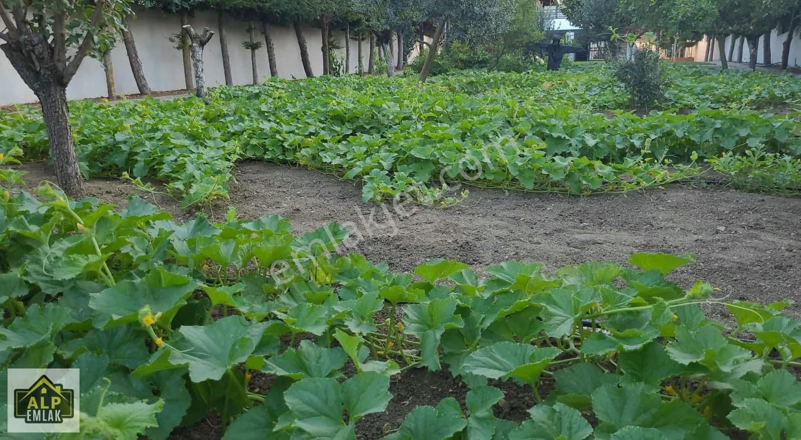 Büyükcekmece Kamilobada Full Deniz Manzaralı Villa - Görsel 15