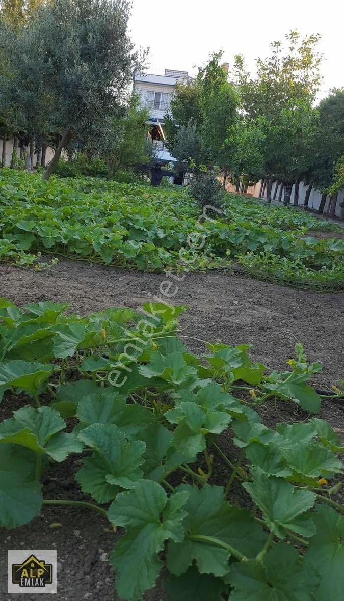 Büyükcekmece Kamilobada Full Deniz Manzaralı Villa - Görsel 16