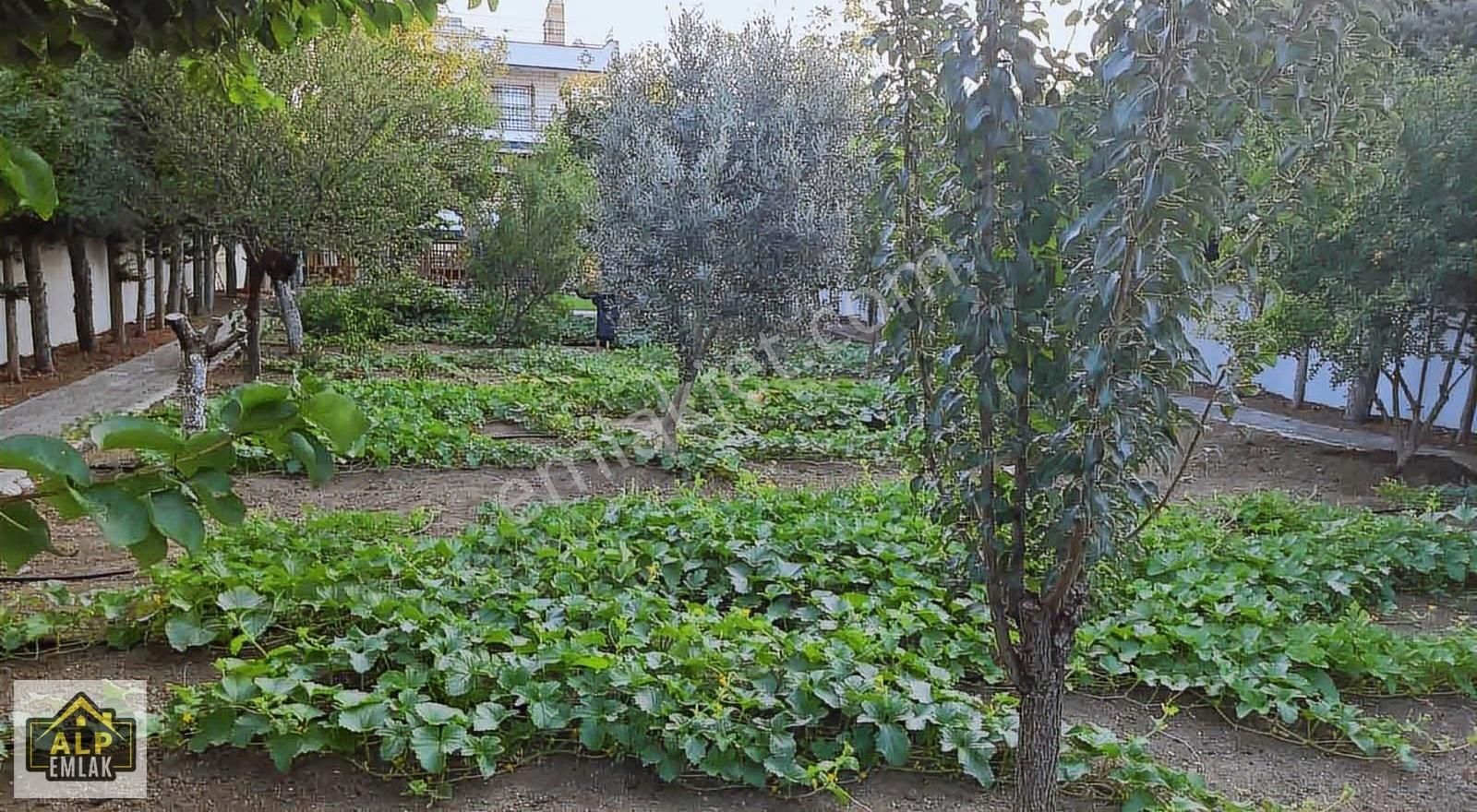 Büyükcekmece Kamilobada Full Deniz Manzaralı Villa - Görsel 5