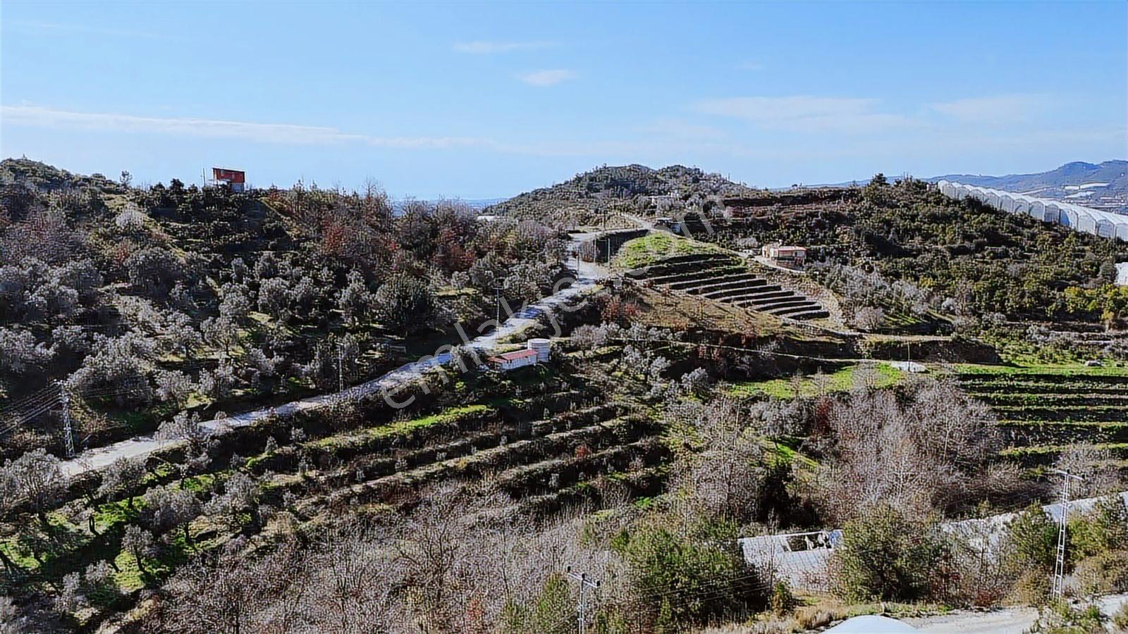 Alanya Toslak Yeniköy Mahallesinde Satılık Arsa - Görsel 11