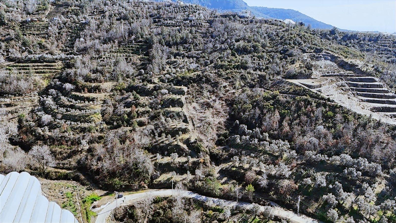 Alanya Toslak Yeniköy Mahallesinde Satılık Arsa - Görsel 15