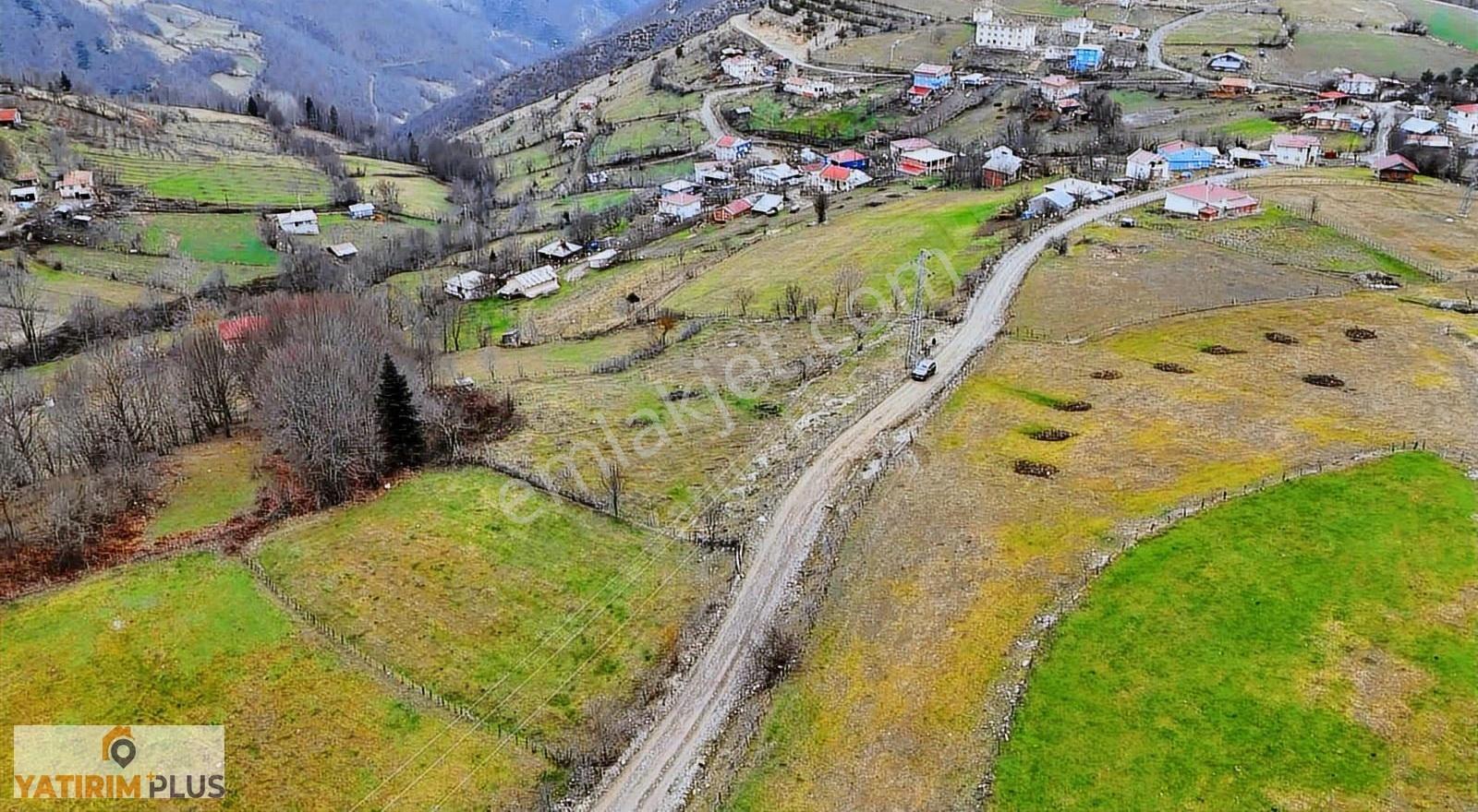 Yatırım Plus'tan Alaçam'da Ev Yapılabilir Acil Satılık Tarla - Görsel 8