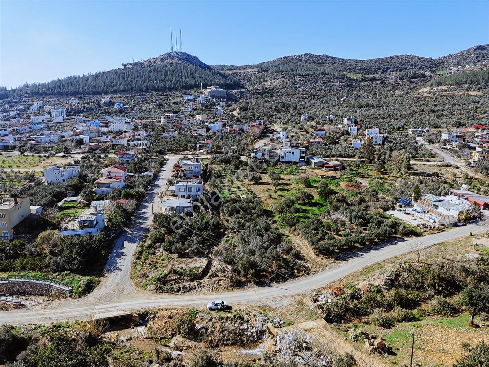 Kozan Gayrimenkulden Ağlıboğaz Da 481m2 Köşe Arsa
