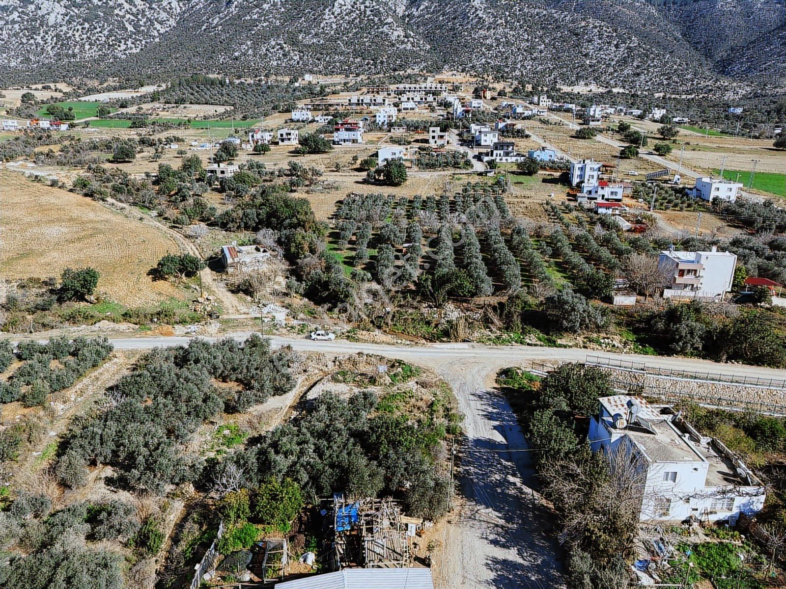 Kozan Gayrimenkulden Ağlıboğaz Da 481m2 Köşe Arsa - Görsel 7
