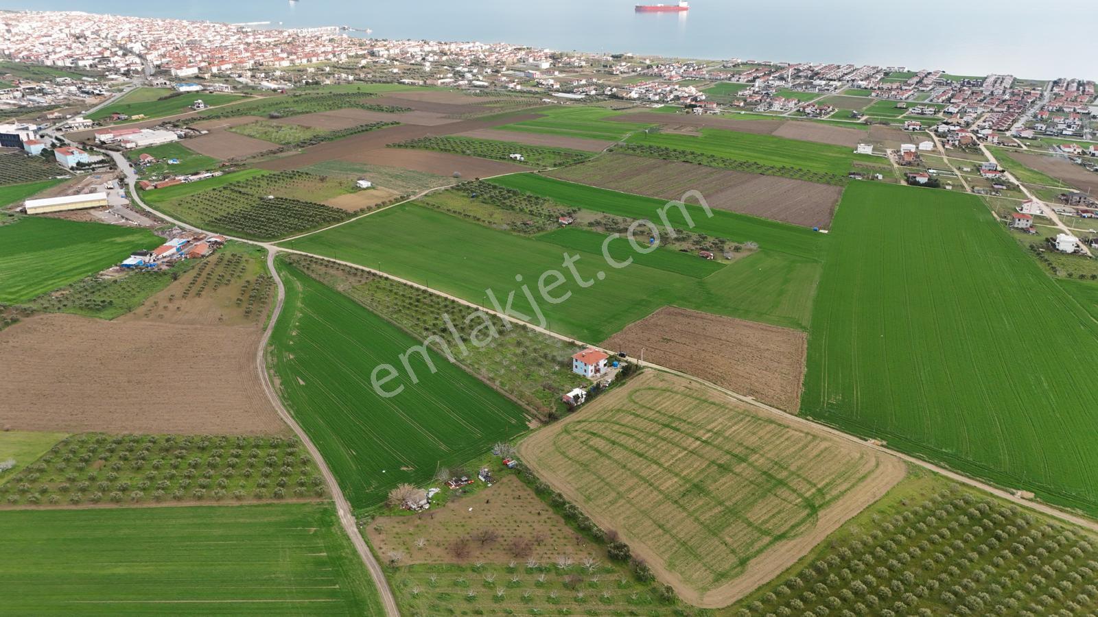 Şarköy İstiklal Mh. Deniz Manzaralı Kadastral Yola Cephe 9.389 M Arsa Satılık - Görsel 3