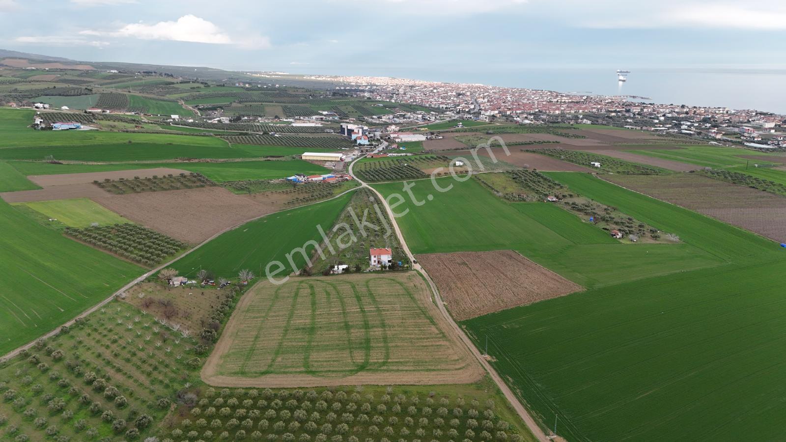 Şarköy İstiklal Mh. Deniz Manzaralı Kadastral Yola Cephe 9.389 M Arsa Satılık - Görsel 2