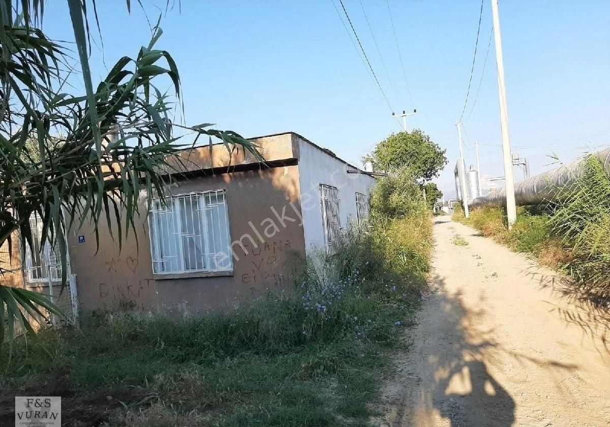 Satılık Tarım Arazisi aydın Germencik Ömerbeyli Konumunda 8404 M² Zeytinlik - Görsel 6