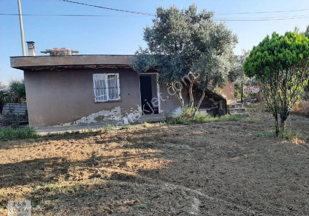 Satılık Tarım Arazisi aydın Germencik Ömerbeyli Konumunda 8404 M² Zeytinlik - Görsel 16