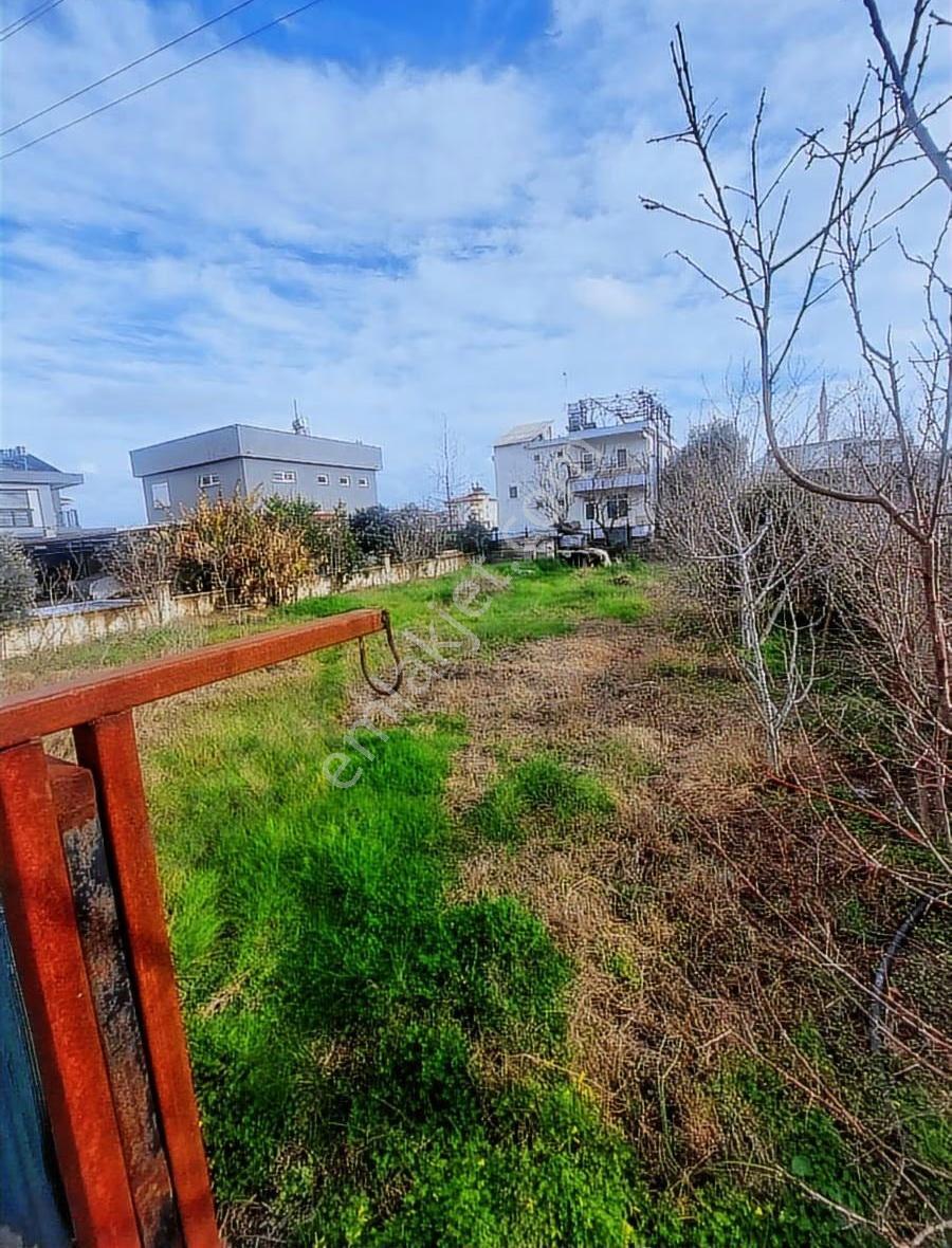 Etrafı Çevrili Yetişmiş Meyve Ağaçları İle 500 M2 Arsa - Görsel 3
