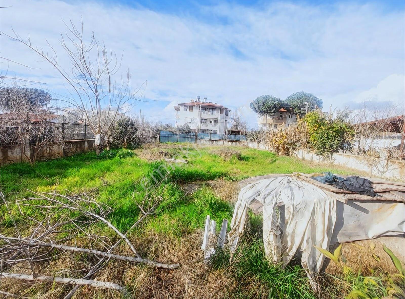 Etrafı Çevrili Yetişmiş Meyve Ağaçları İle 500 M2 Arsa - Görsel 4