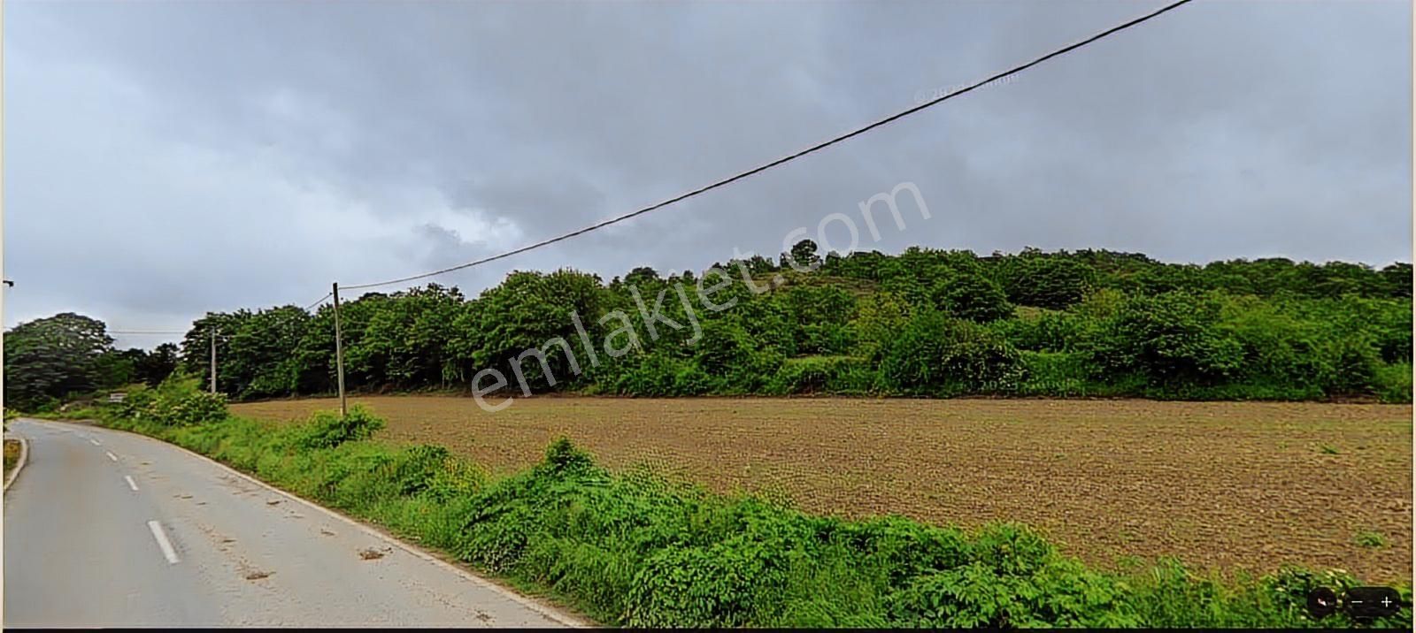 Adapazarı Kayrancıkta Yerleşime 70m Yakın 5531 M² Satılık Tarla