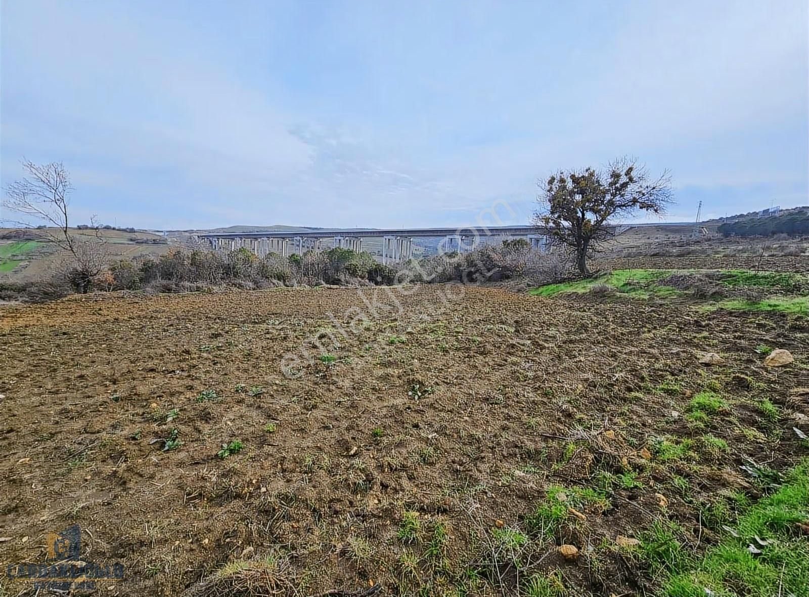 Çanakkale Lapseki Suluca Koyunde Satılık Harıka Konumda Arsa - Görsel 10