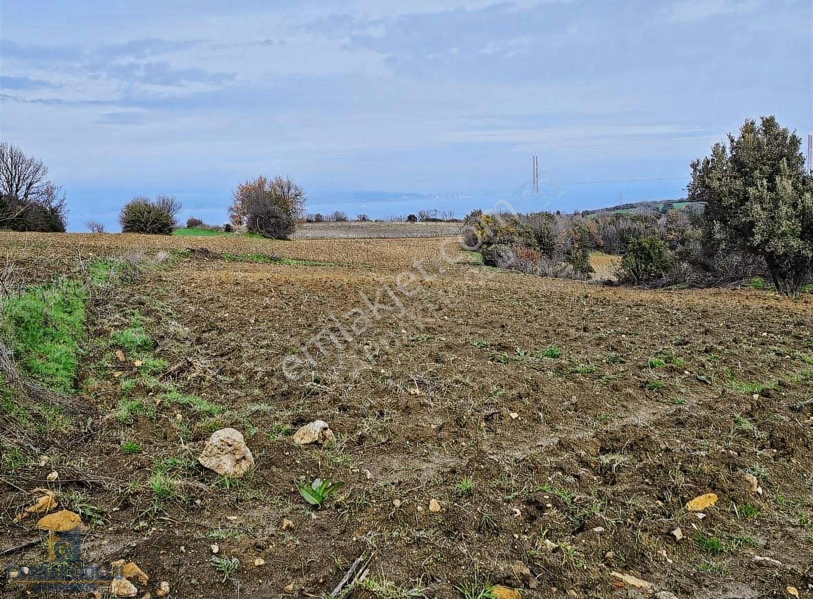 Çanakkale Lapseki Suluca Koyunde Satılık Harıka Konumda Arsa - Görsel 11
