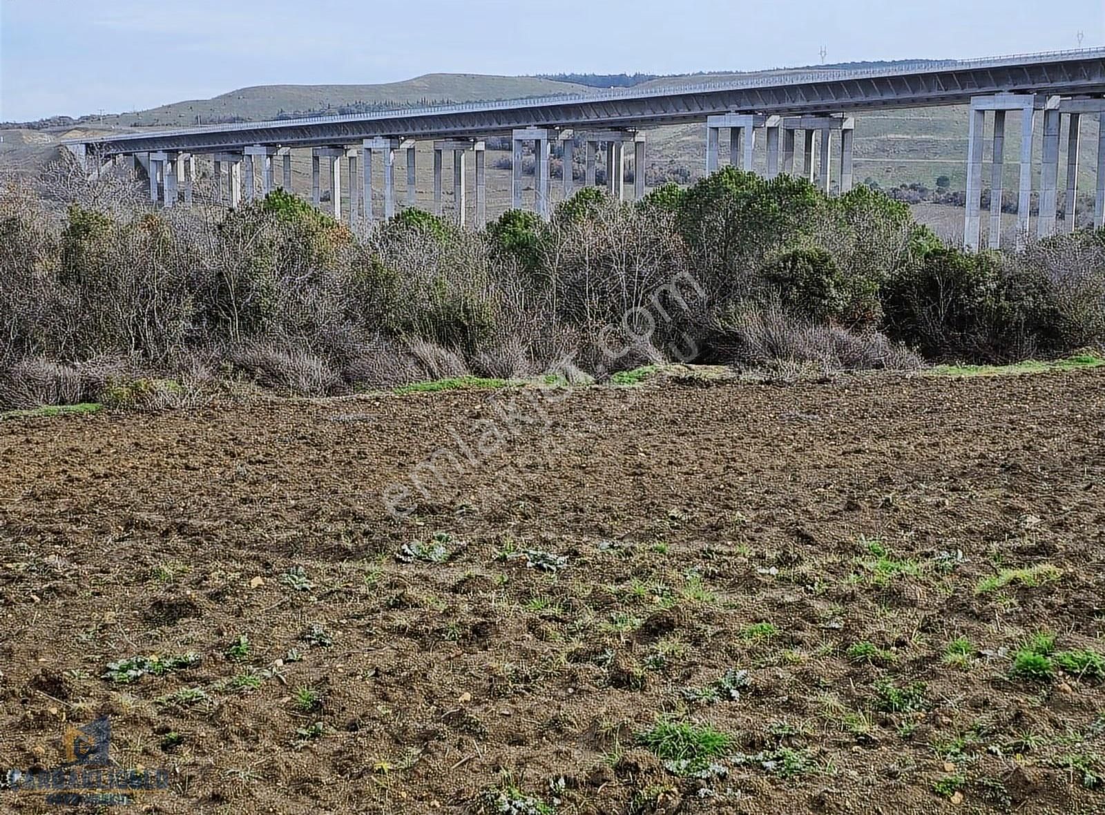 Çanakkale Lapseki Suluca Koyunde Satılık Harıka Konumda Arsa - Görsel 2