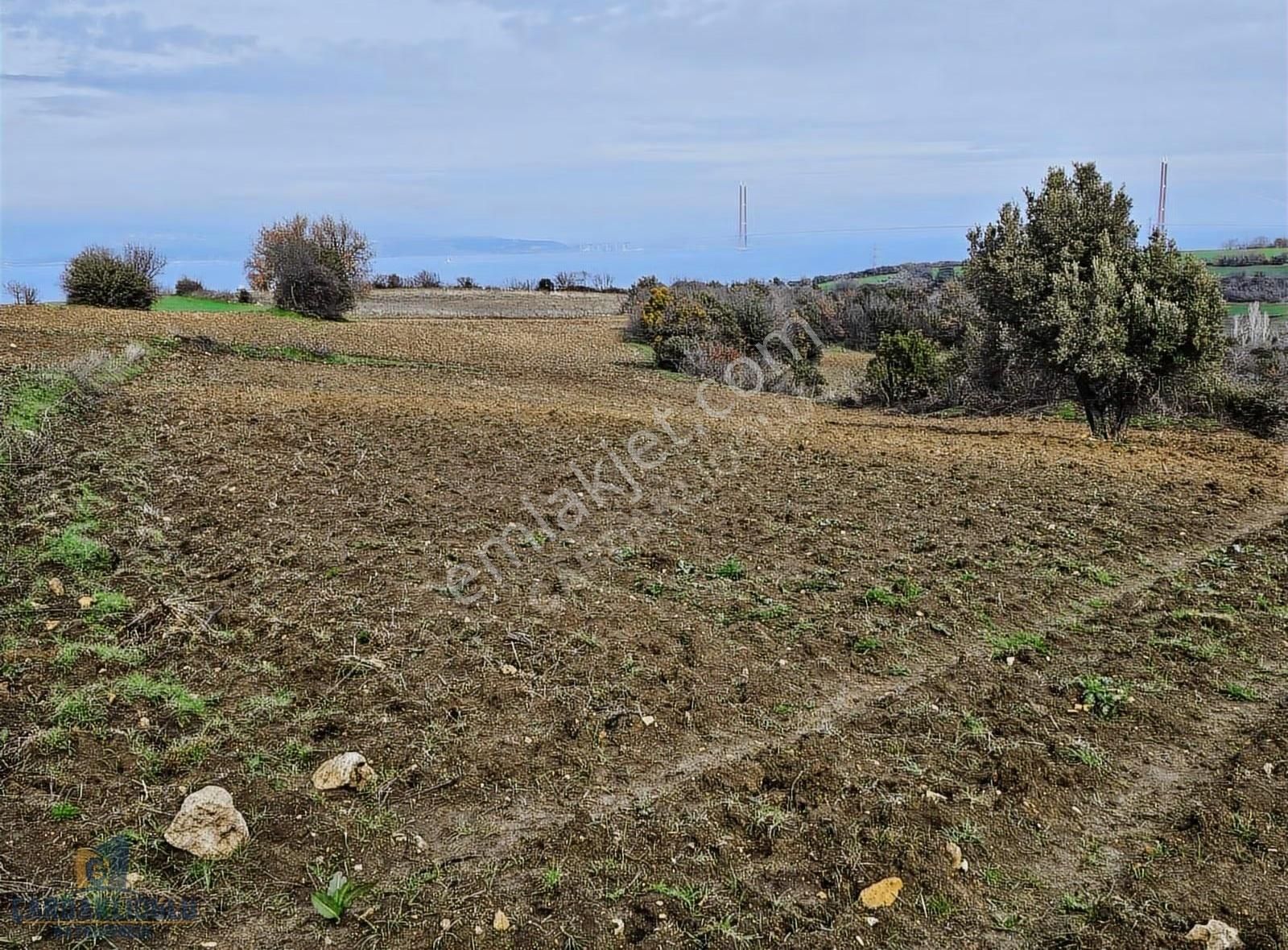 Çanakkale Lapseki Suluca Koyunde Satılık Harıka Konumda Arsa - Görsel 8